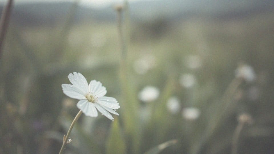 Brak okresu i żółte upławy – przyczyny i dalsze kroki