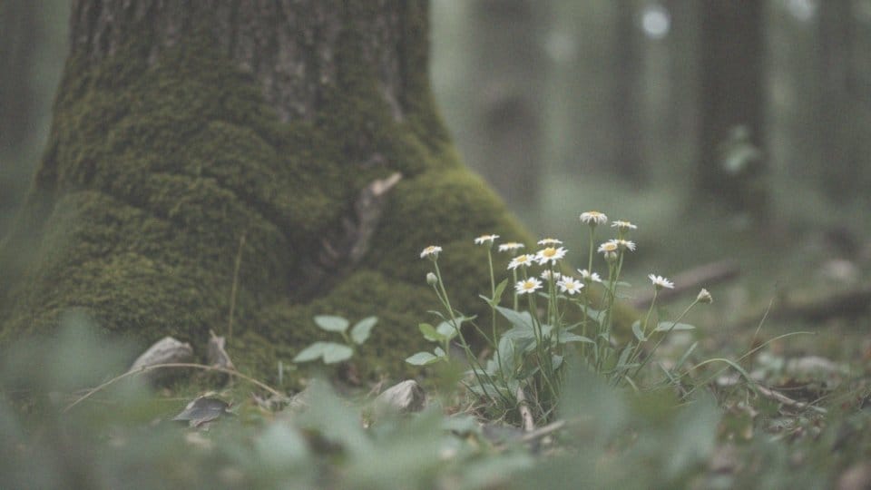 Czuję bicie serca na całym ciele – przyczyny i objawy