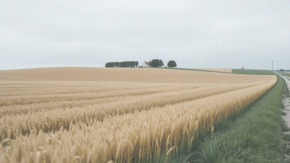 Jak sprzedać ziemię rolną krok po kroku? Przewodnik dla sprzedających