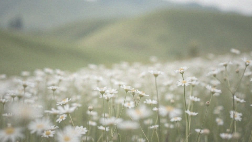 Mleczna wydzielina z pochwy – co oznacza i kiedy udać się do ginekologa?