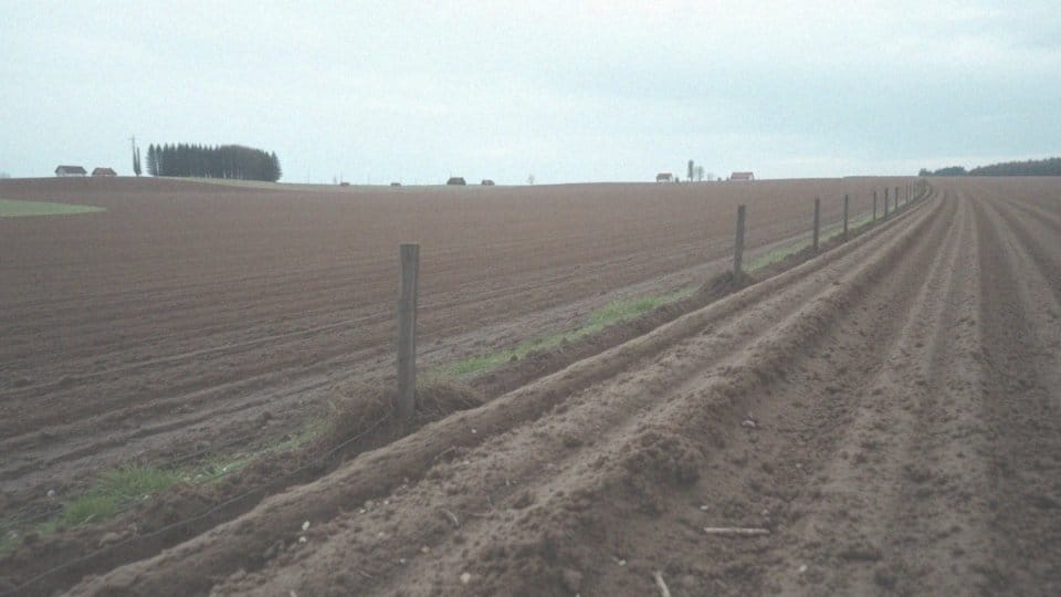 Podatek od sprzedaży działki rolnej – wszystko, co musisz wiedzieć