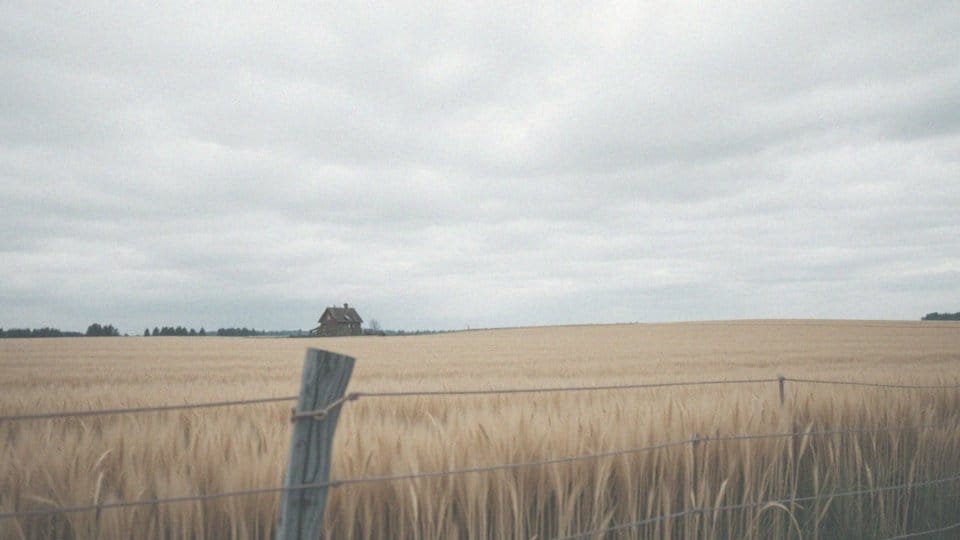 Podatek od sprzedaży ziemi rolnej ze spadku – co warto wiedzieć?