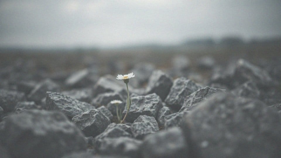 Rzadkie choroby autoimmunologiczne – objawy, diagnostyka i leczenie