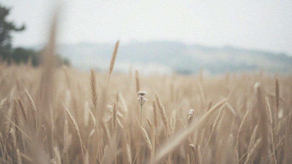 Twardzina układowa – długość życia i rokowania dla pacjentów