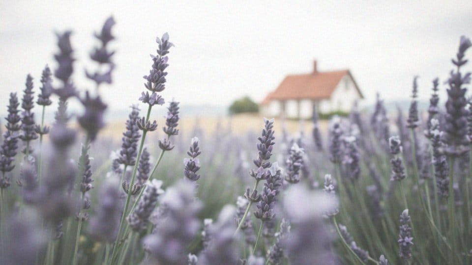 Zaburzenia hormonalne a brak biustu – przyczyny i skutki